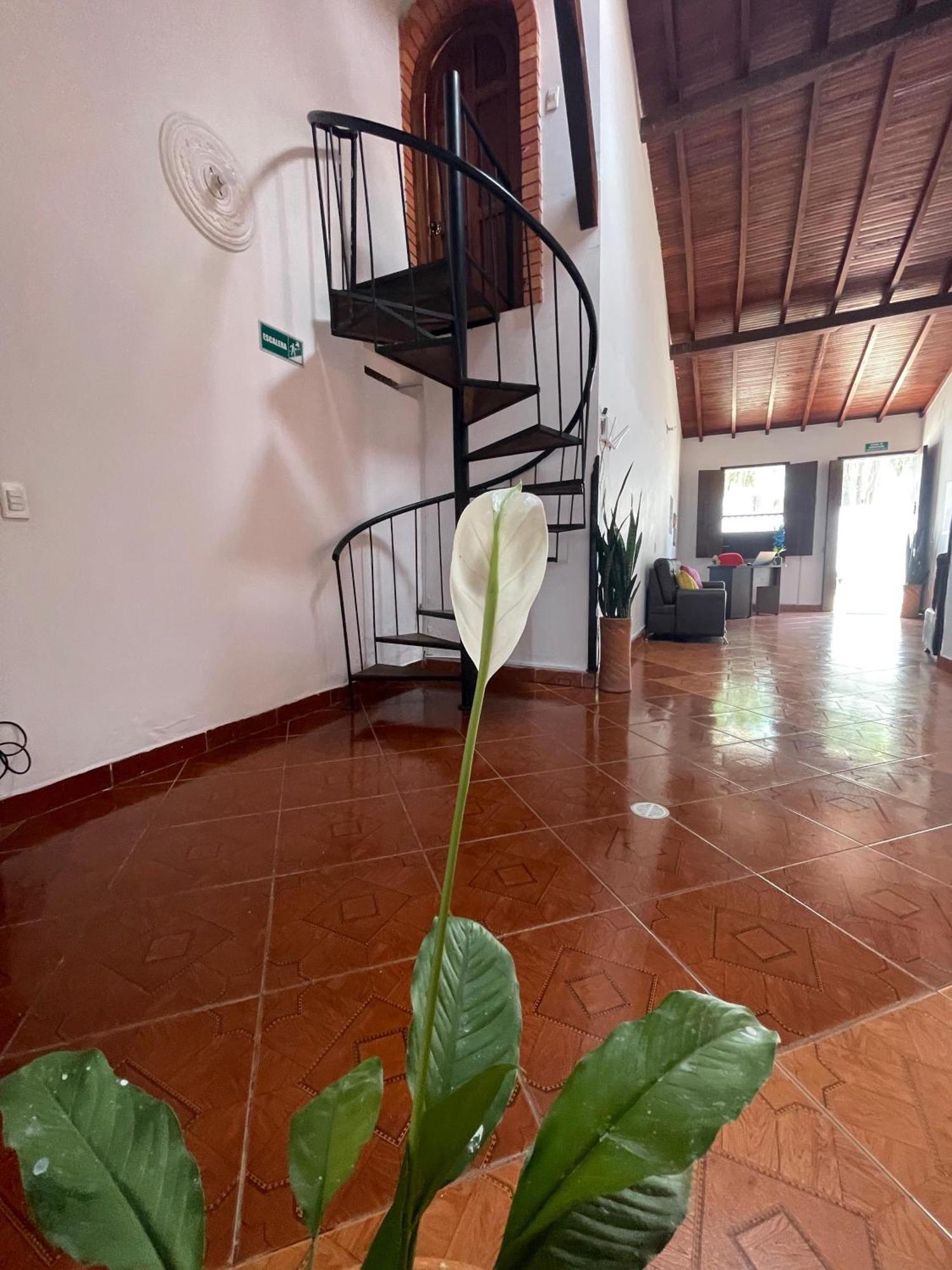Hostel La Hormiga Баричара Екстериор снимка